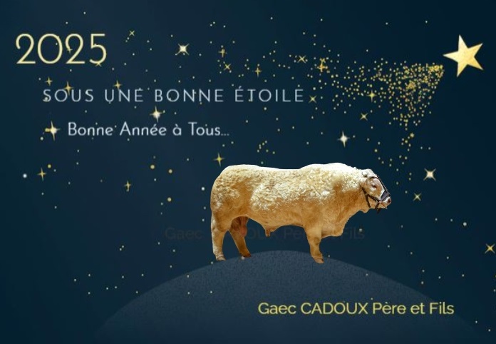 Bonne Année 2025
